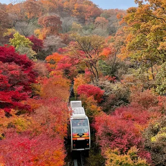 Южная Корея