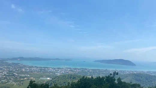 На пляже Карон в Таиланде обнаружены ‘португальские кораблики’